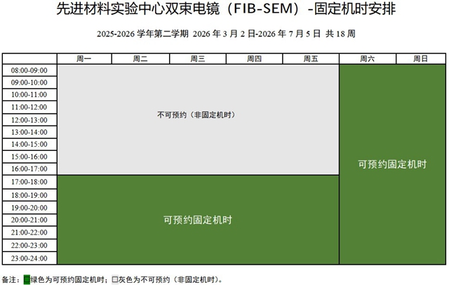 06 FIB-SEM.jpg